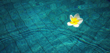 Ouverture De Piscine: L'Importance Cruciale d'une Analyse d'Eau en Magasin